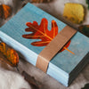 "Leaf cards" 60 Identification Flash Cards & Memory Game